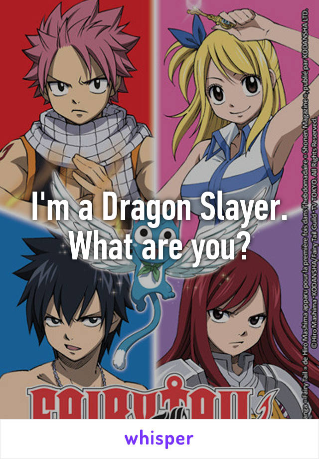 I'm a Dragon Slayer.
What are you?