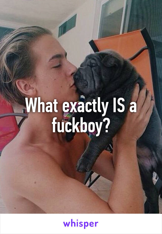 What exactly IS a fuckboy?