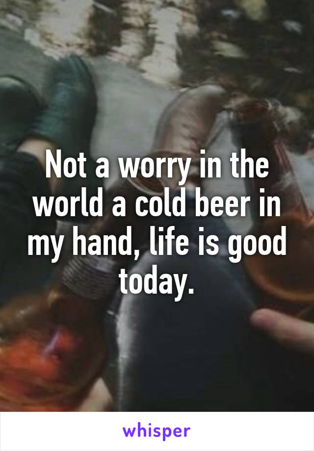 Not a worry in the world a cold beer in my hand, life is good today.