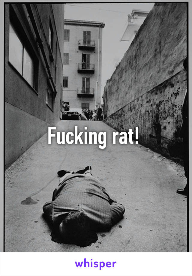 Fucking rat! 