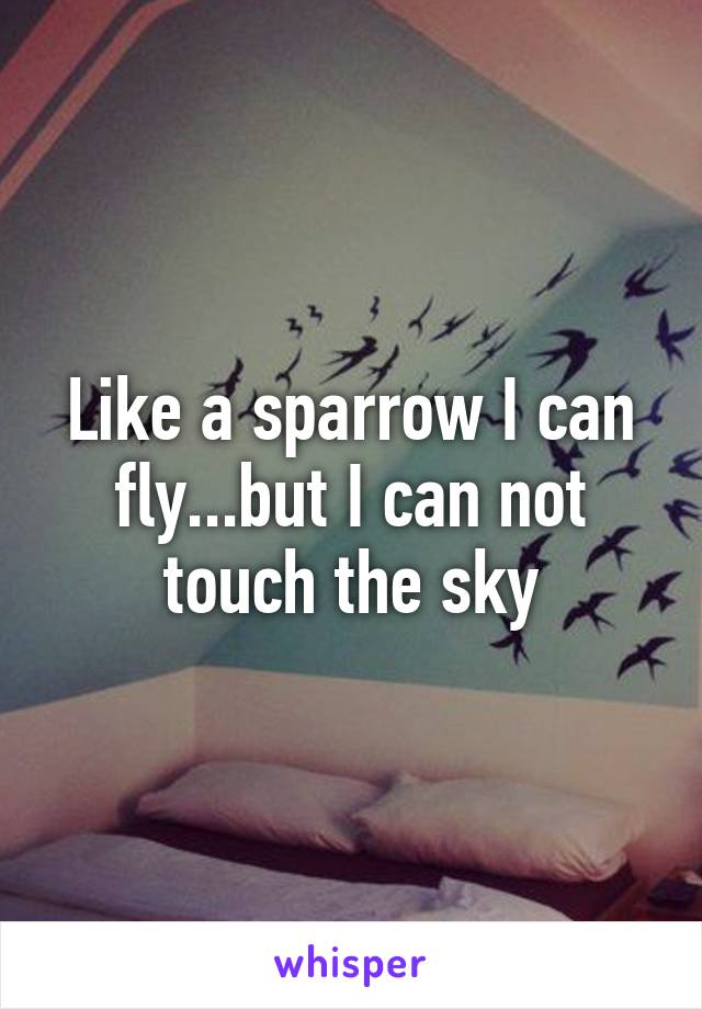 Like a sparrow I can fly...but I can not touch the sky