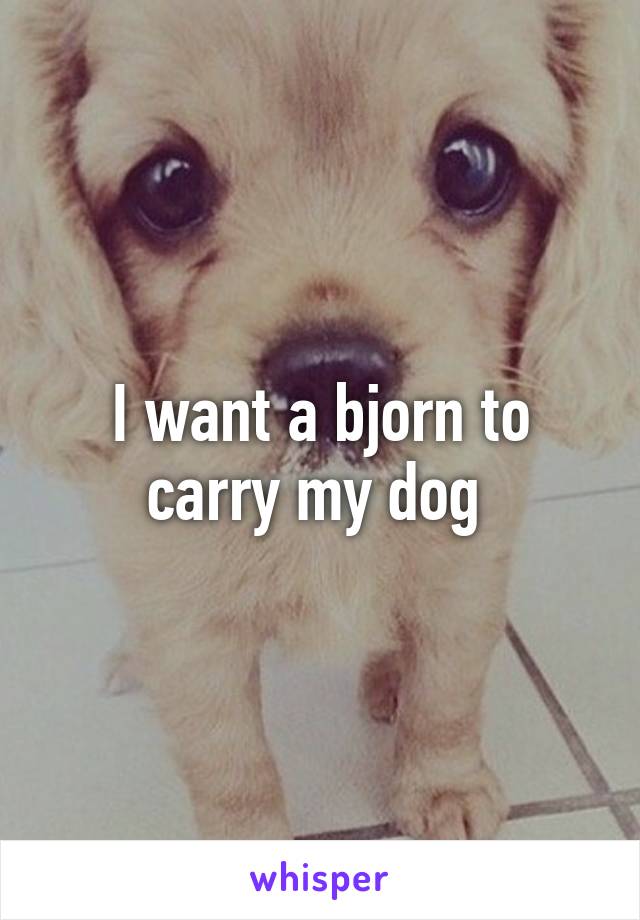 I want a bjorn to carry my dog 