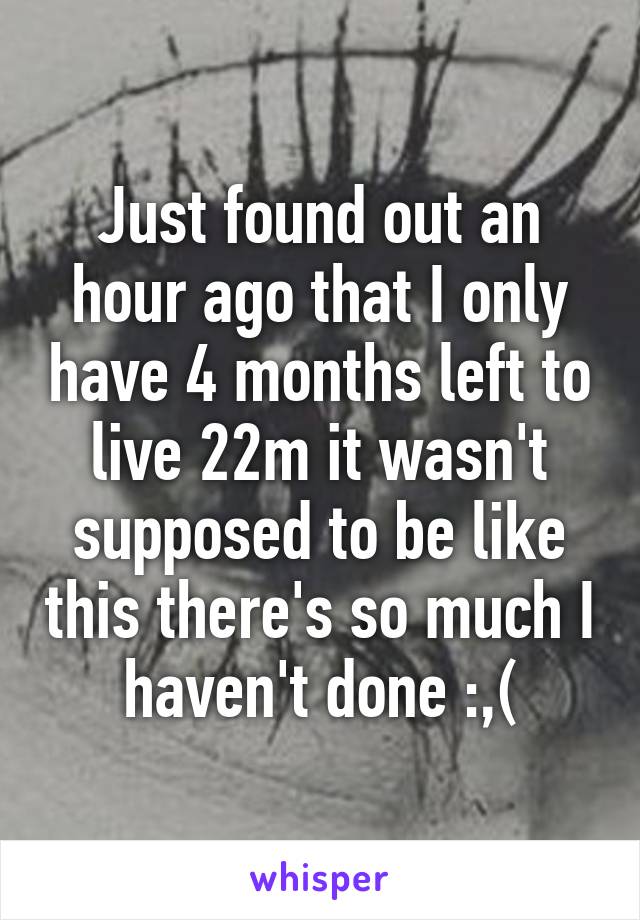 Just found out an hour ago that I only have 4 months left to live 22m it wasn't supposed to be like this there's so much I haven't done :,(