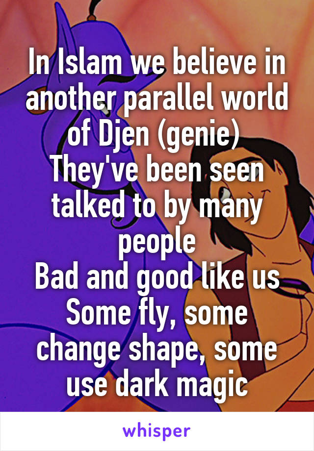 In Islam we believe in another parallel world of Djen (genie) 
They've been seen talked to by many people
Bad and good like us Some fly, some change shape, some use dark magic