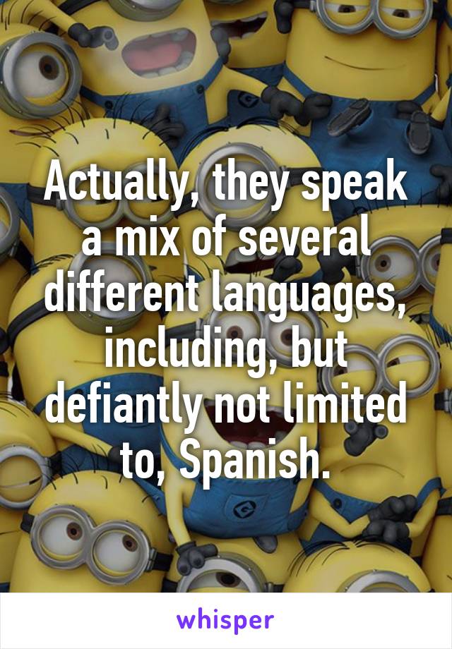 Actually, they speak a mix of several different languages, including, but defiantly not limited to, Spanish.