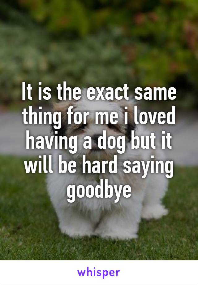 It is the exact same thing for me i loved having a dog but it will be hard saying goodbye