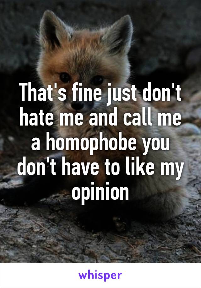 That's fine just don't hate me and call me a homophobe you don't have to like my opinion