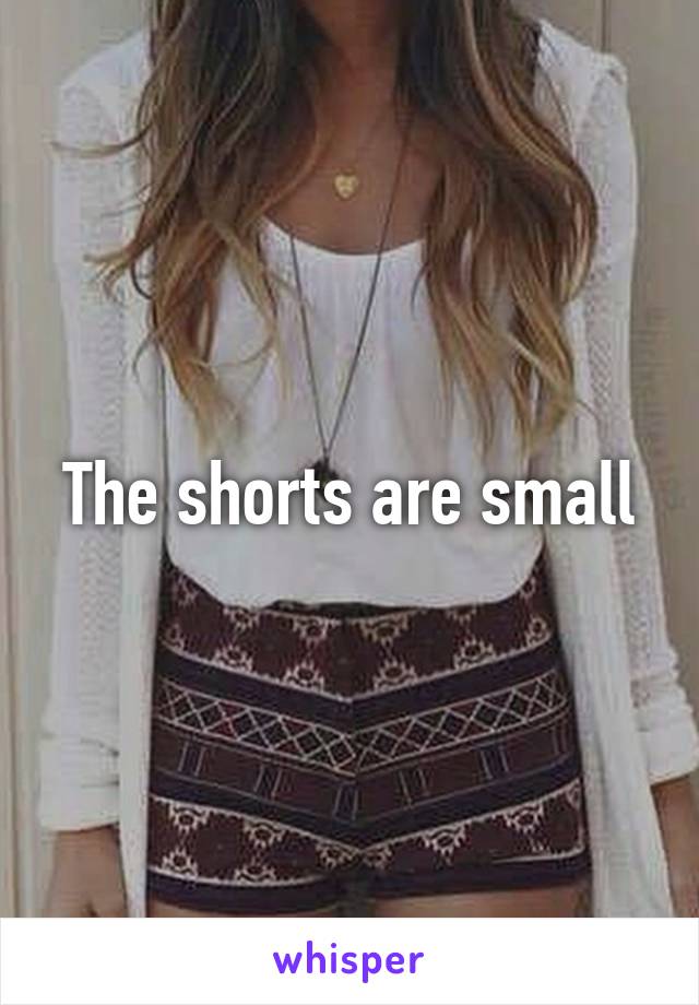 The shorts are small