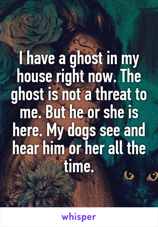 I have a ghost in my house right now. The ghost is not a threat to me. But he or she is here. My dogs see and hear him or her all the time.