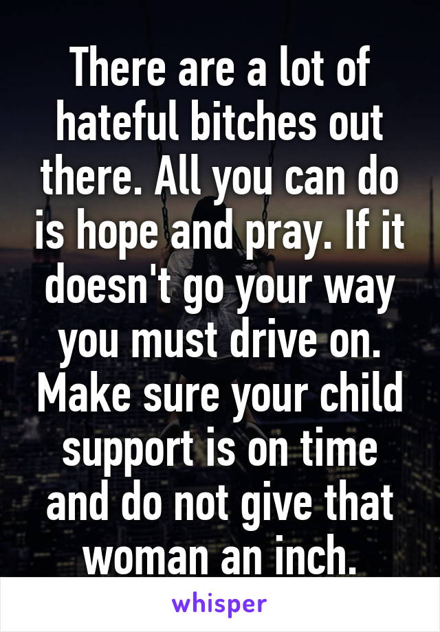 There are a lot of hateful bitches out there. All you can do is hope and pray. If it doesn't go your way you must drive on. Make sure your child support is on time and do not give that woman an inch.