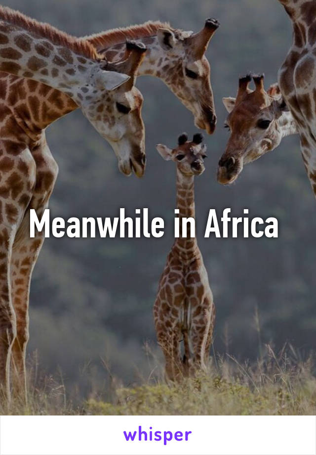 Meanwhile in Africa 