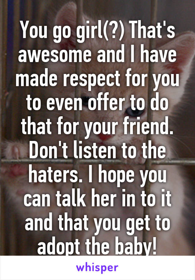 You go girl(?) That's awesome and I have made respect for you to even offer to do that for your friend. Don't listen to the haters. I hope you can talk her in to it and that you get to adopt the baby!