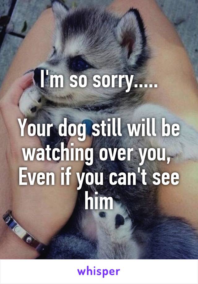 I'm so sorry.....

Your dog still will be watching over you, 
Even if you can't see him