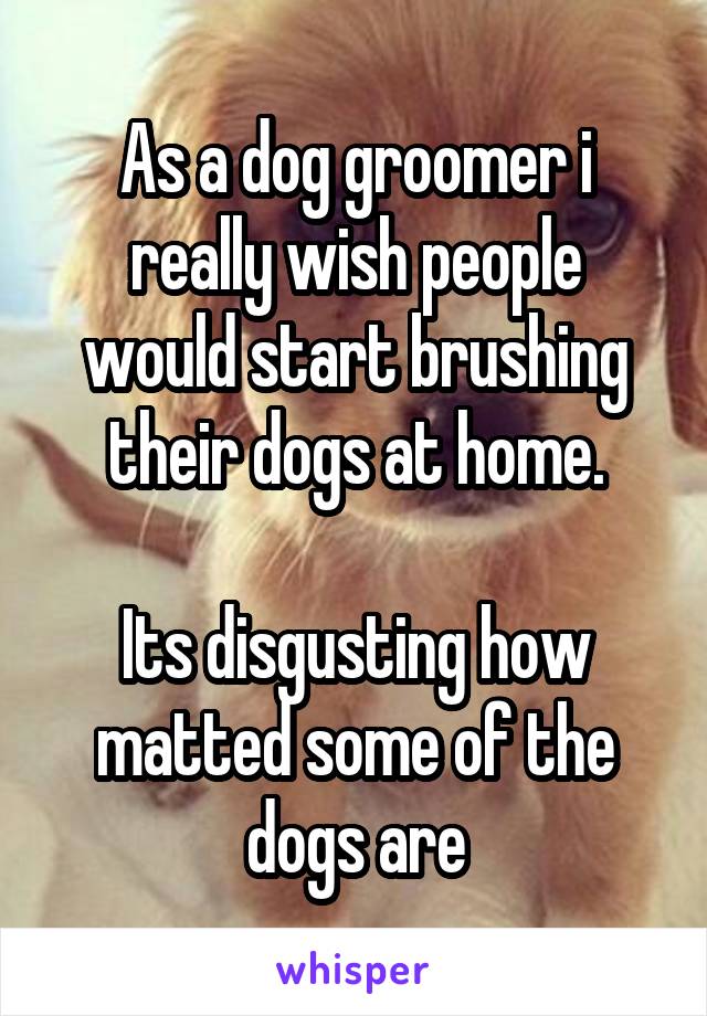 As a dog groomer i really wish people would start brushing their dogs at home.

Its disgusting how matted some of the dogs are
