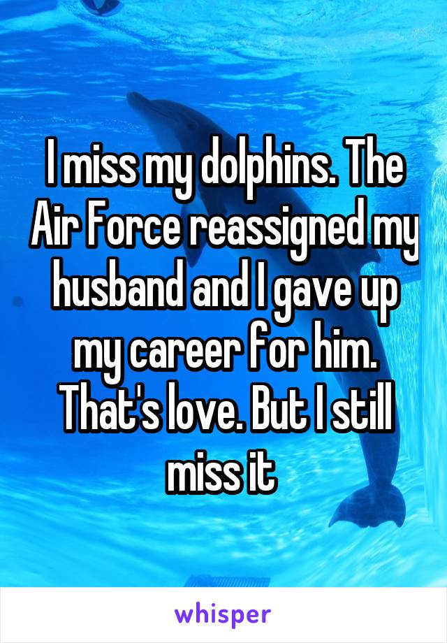 I miss my dolphins. The Air Force reassigned my husband and I gave up my career for him. That's love. But I still miss it 