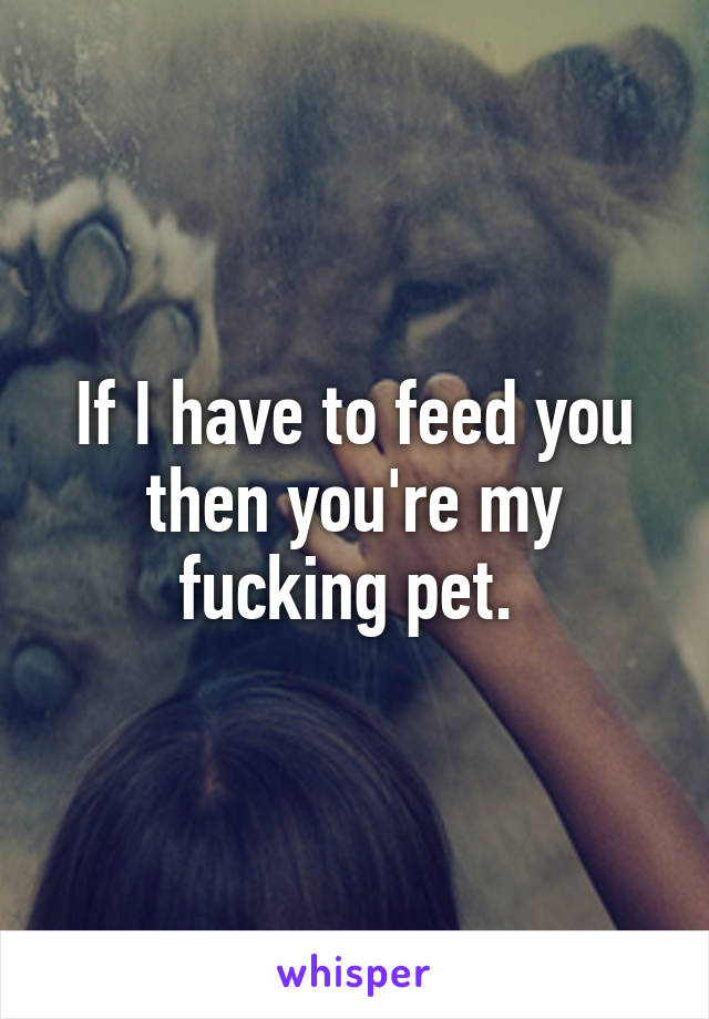 If I have to feed you then you're my fucking pet. 