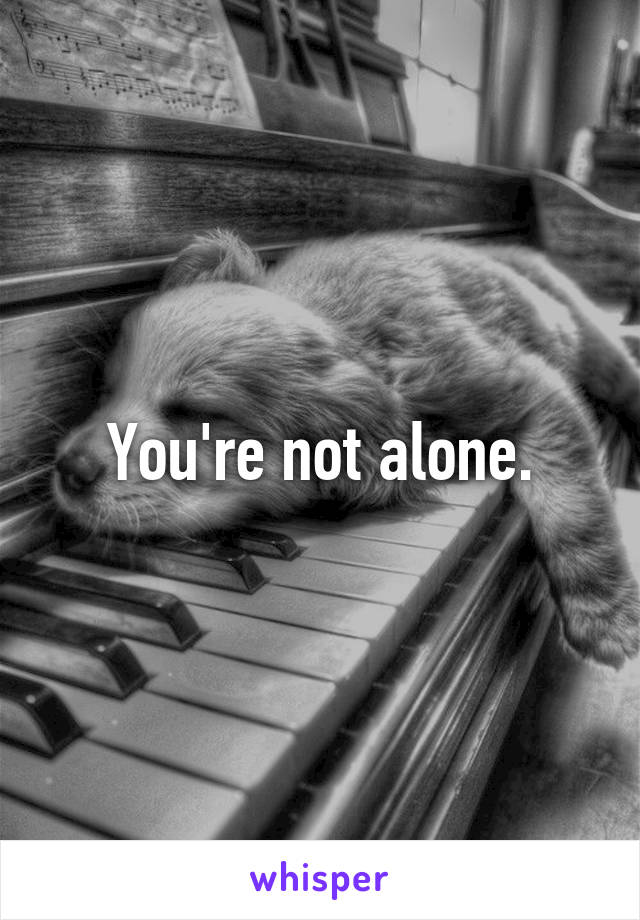 You're not alone.