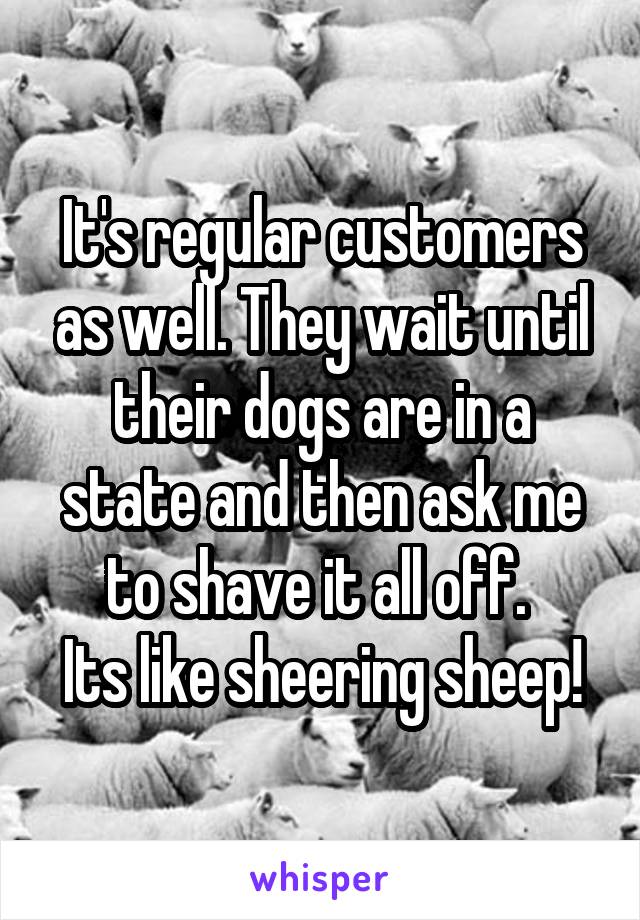It's regular customers as well. They wait until their dogs are in a state and then ask me to shave it all off. 
Its like sheering sheep!
