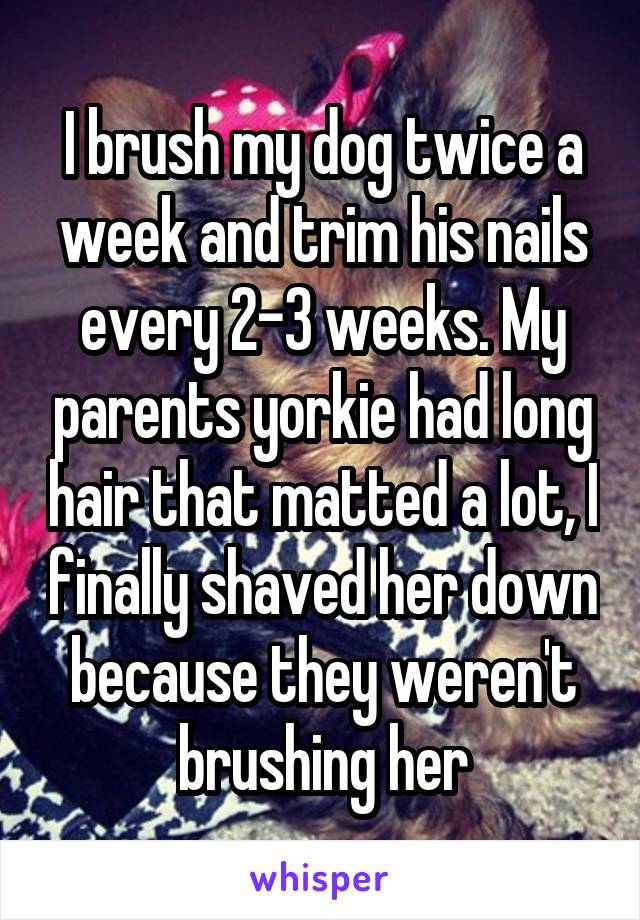 I brush my dog twice a week and trim his nails every 2-3 weeks. My parents yorkie had long hair that matted a lot, I finally shaved her down because they weren't brushing her