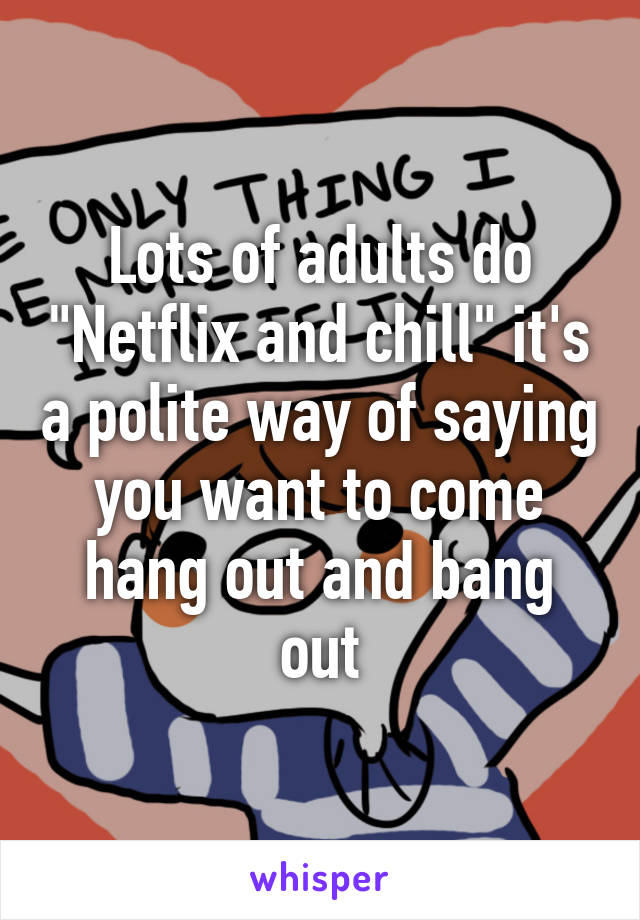 Lots of adults do "Netflix and chill" it's a polite way of saying you want to come hang out and bang out