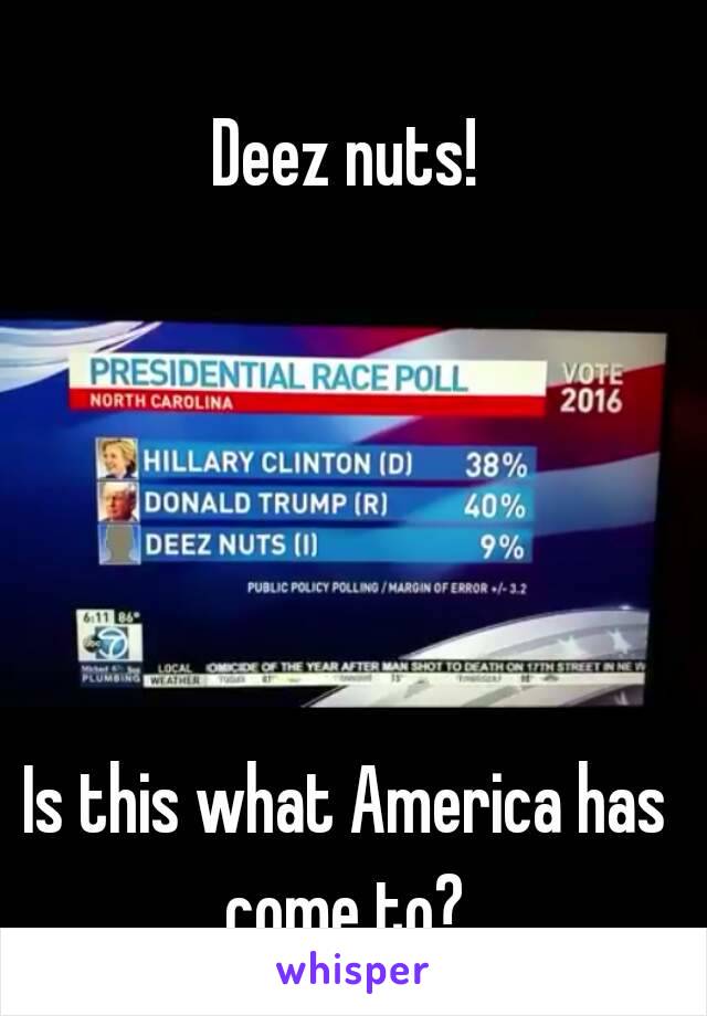 Deez nuts!





Is this what America has come to? 