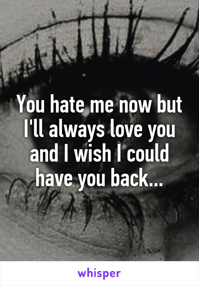 You hate me now but I'll always love you and I wish I could have you back...