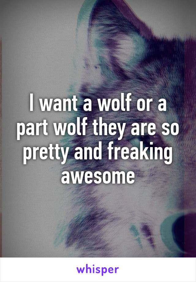 I want a wolf or a part wolf they are so pretty and freaking awesome