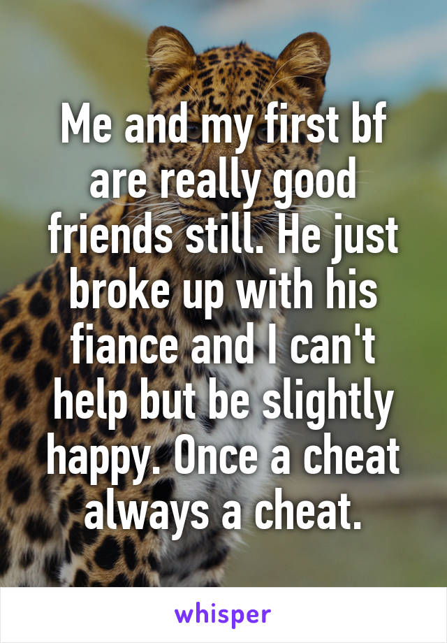 Me and my first bf are really good friends still. He just broke up with his fiance and I can't help but be slightly happy. Once a cheat always a cheat.