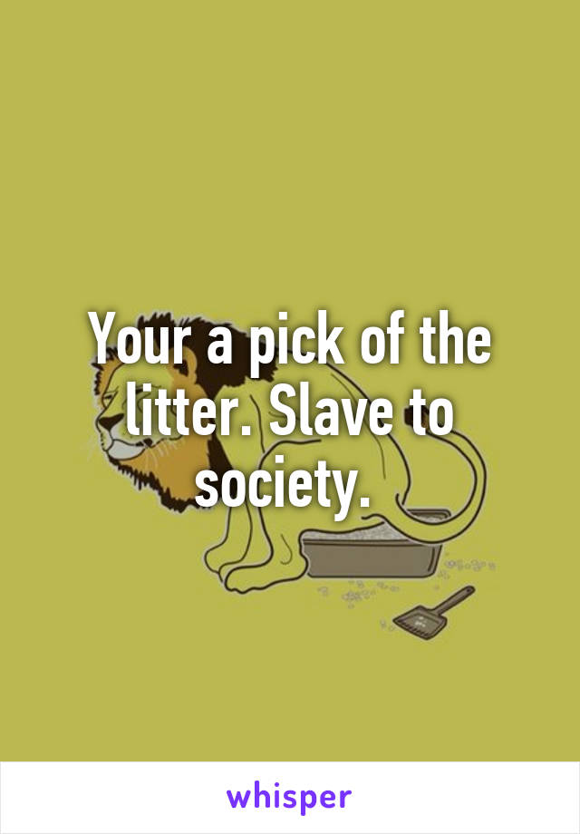 Your a pick of the litter. Slave to society. 