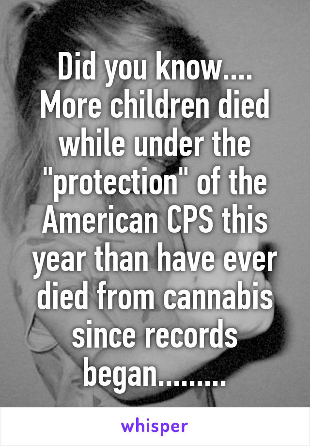 Did you know....
More children died while under the "protection" of the American CPS this year than have ever died from cannabis since records began.........