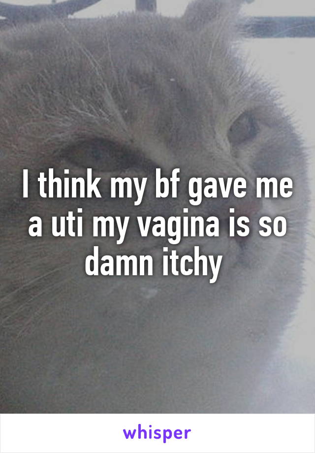 I think my bf gave me a uti my vagina is so damn itchy 