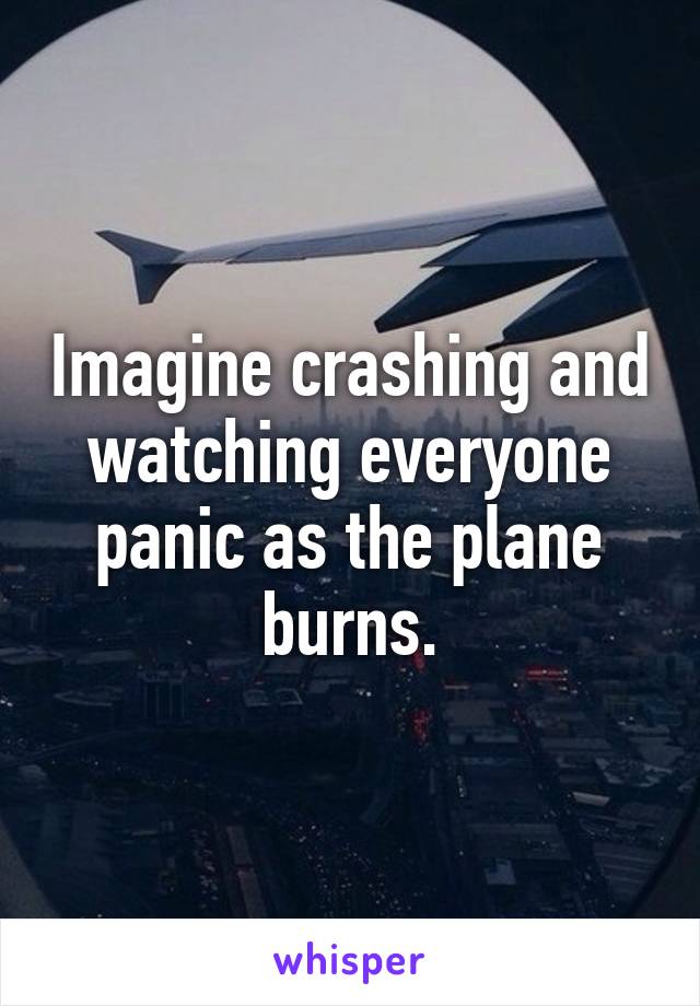 Imagine crashing and watching everyone panic as the plane burns.