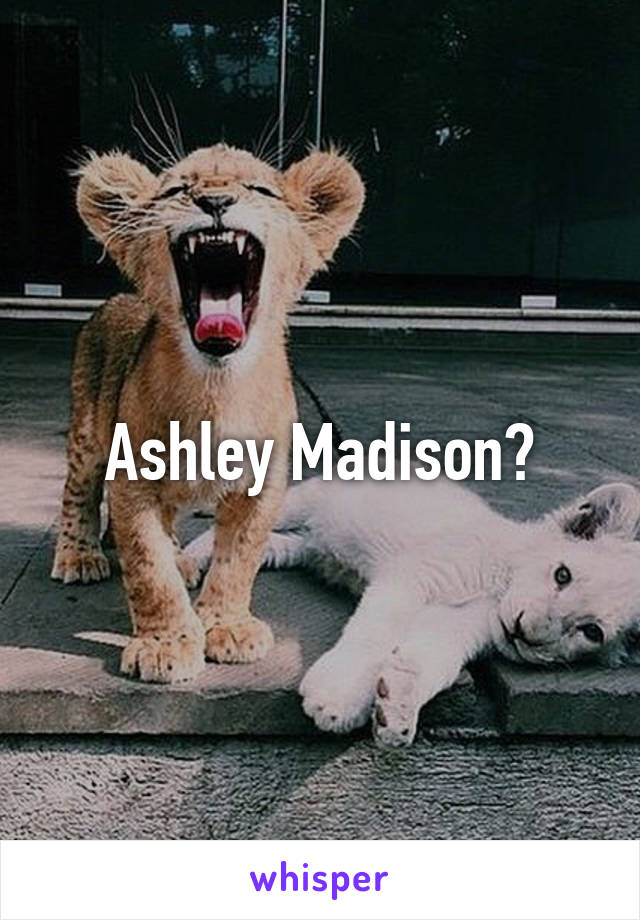 Ashley Madison?