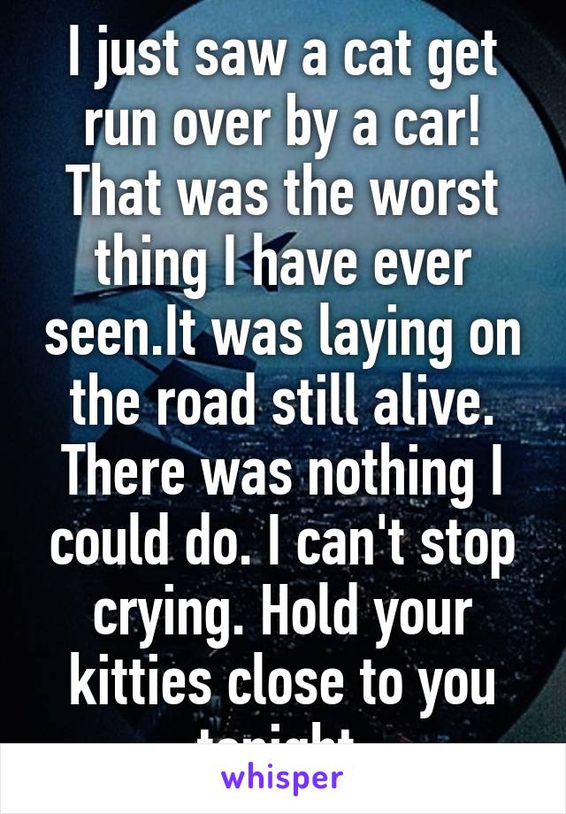 I just saw a cat get run over by a car! That was the worst thing I have ever seen.It was laying on the road still alive. There was nothing I could do. I can't stop crying. Hold your kitties close to you tonight.