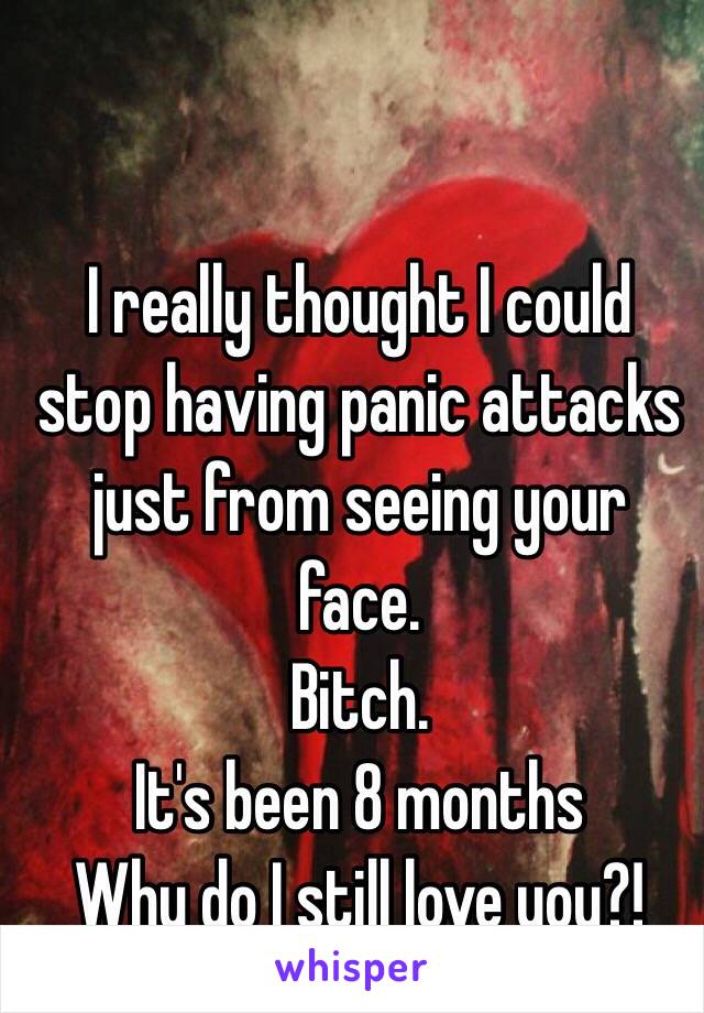 I really thought I could stop having panic attacks just from seeing your face.
Bitch.
It's been 8 months
Why do I still love you?!