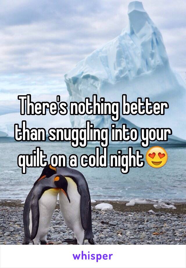 There's nothing better than snuggling into your quilt on a cold night😍