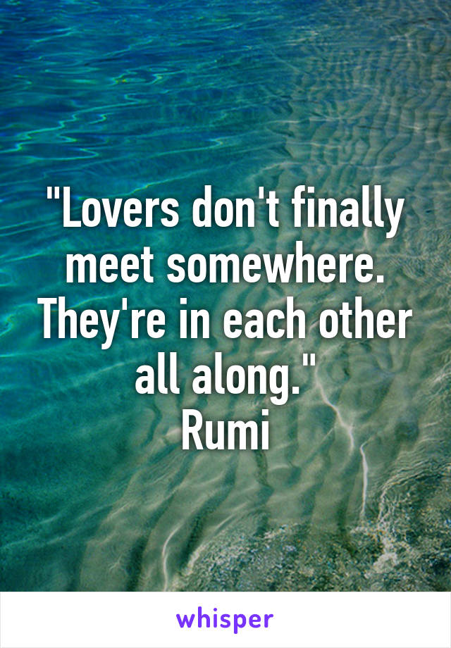 "Lovers don't finally meet somewhere. They're in each other all along."
Rumi