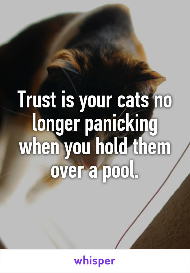 Trust is your cats no longer panicking when you hold them over a pool.