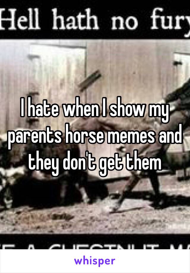  I hate when I show my parents horse memes and they don't get them