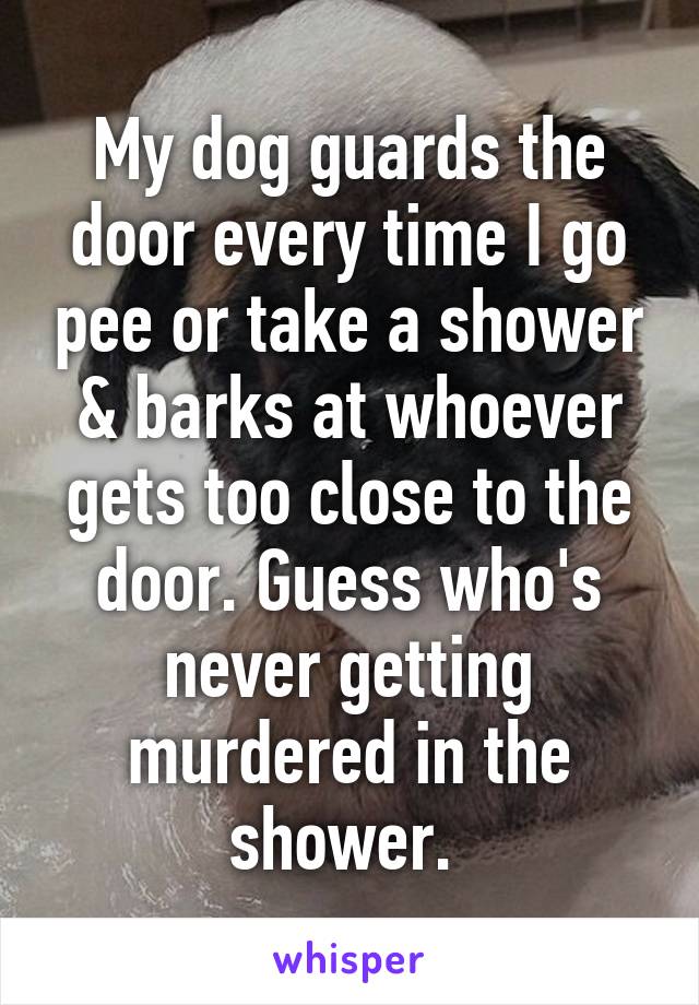 My dog guards the door every time I go pee or take a shower & barks at whoever gets too close to the door. Guess who's never getting murdered in the shower. 