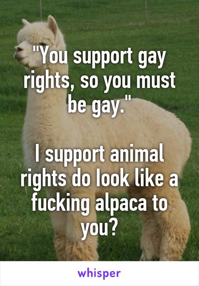 "You support gay rights, so you must be gay."

I support animal rights do Iook like a fucking alpaca to you?