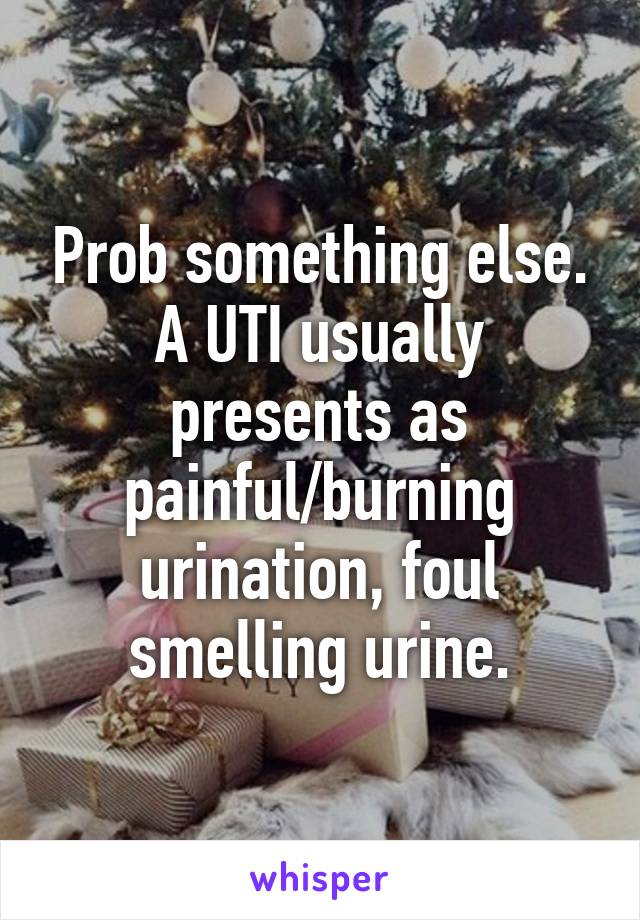 Prob something else. A UTI usually presents as painful/burning urination, foul smelling urine.