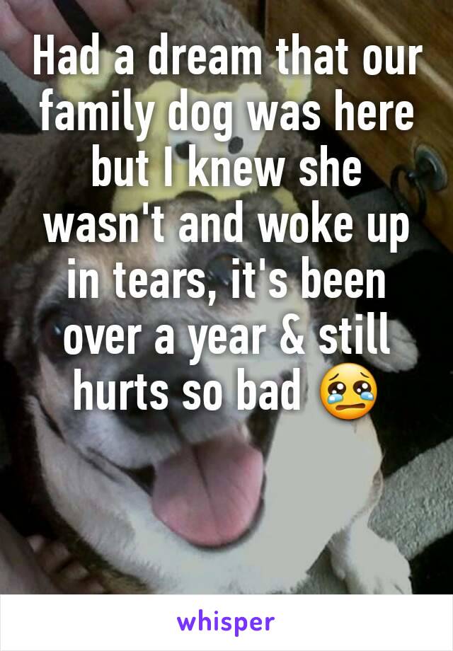 Had a dream that our family dog was here but I knew she wasn't and woke up in tears, it's been over a year & still hurts so bad 😢