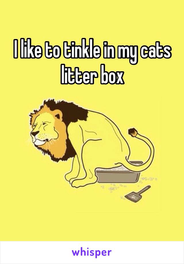 I like to tinkle in my cats litter box