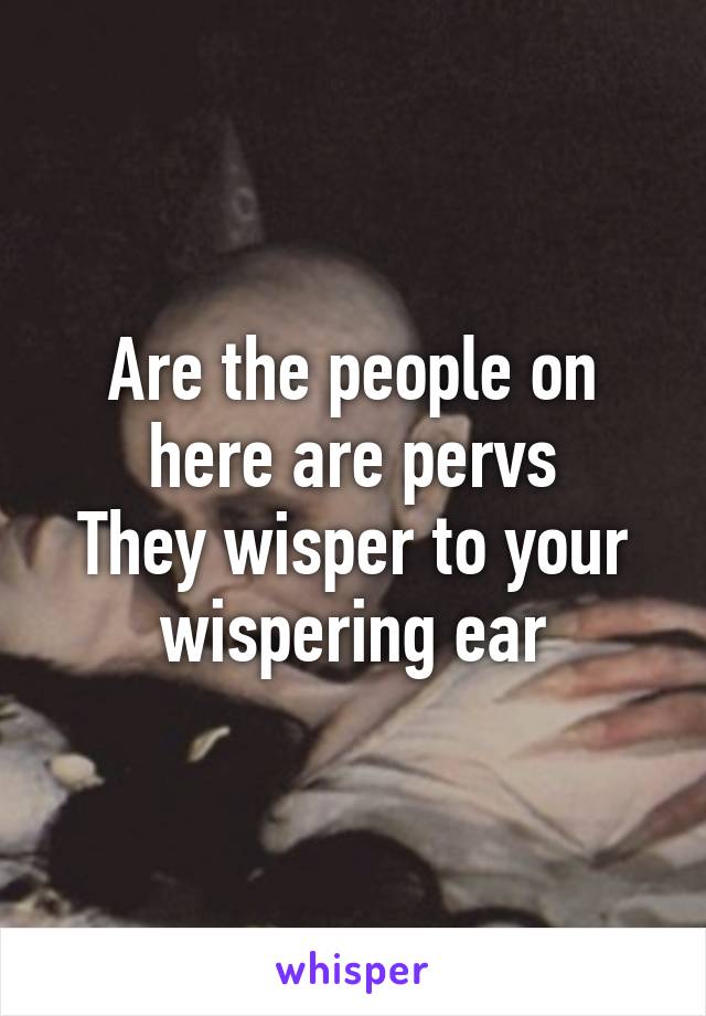 Are the people on here are pervs
They wisper to your wispering ear