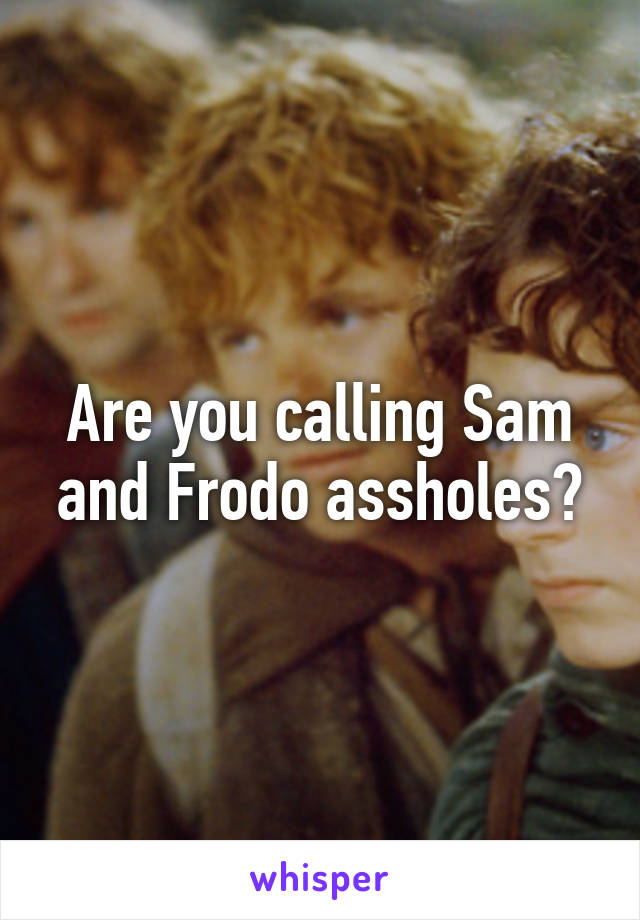 Are you calling Sam and Frodo assholes?