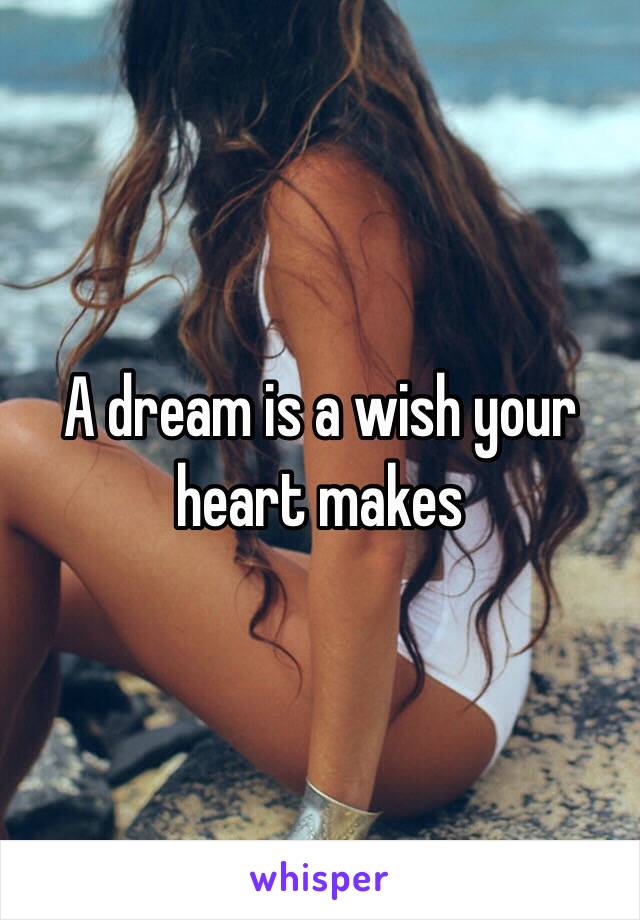 A dream is a wish your heart makes