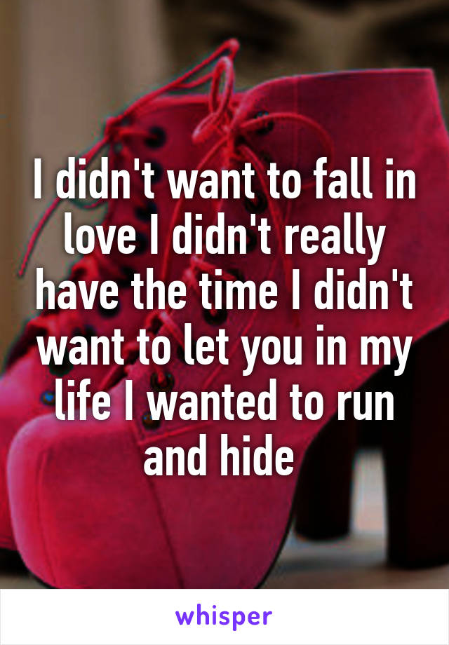 I didn't want to fall in love I didn't really have the time I didn't want to let you in my life I wanted to run and hide 