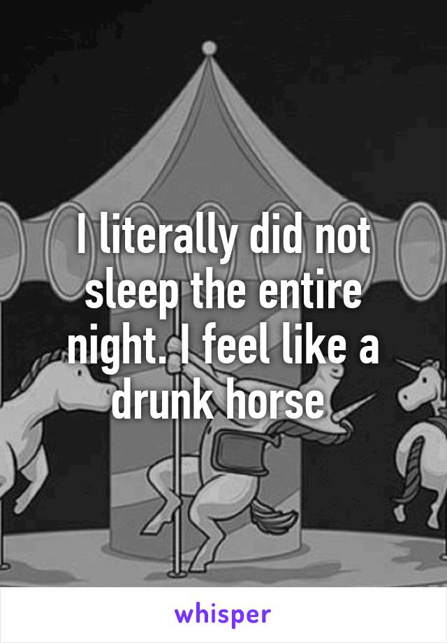 I literally did not sleep the entire night. I feel like a drunk horse 