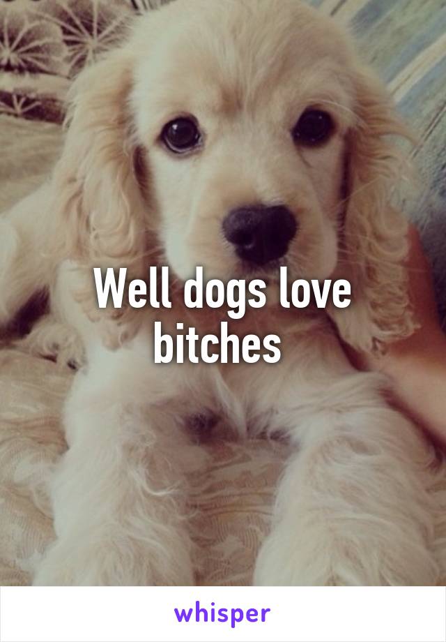 Well dogs love bitches 